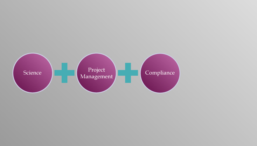 Our Approach 5
