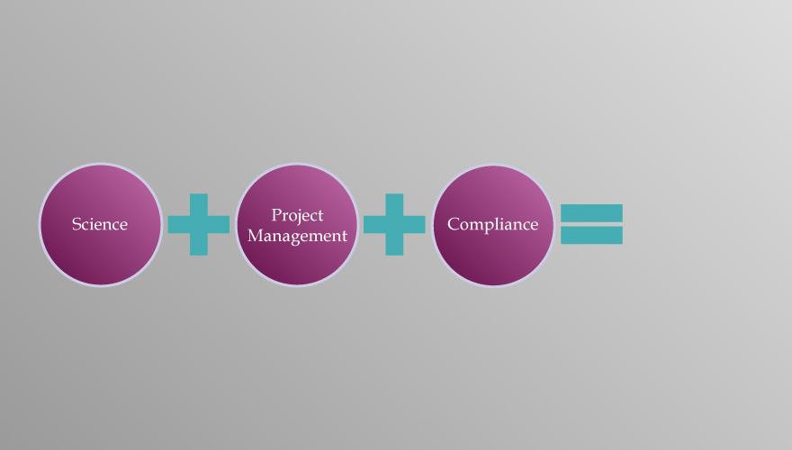 Our Approach 6